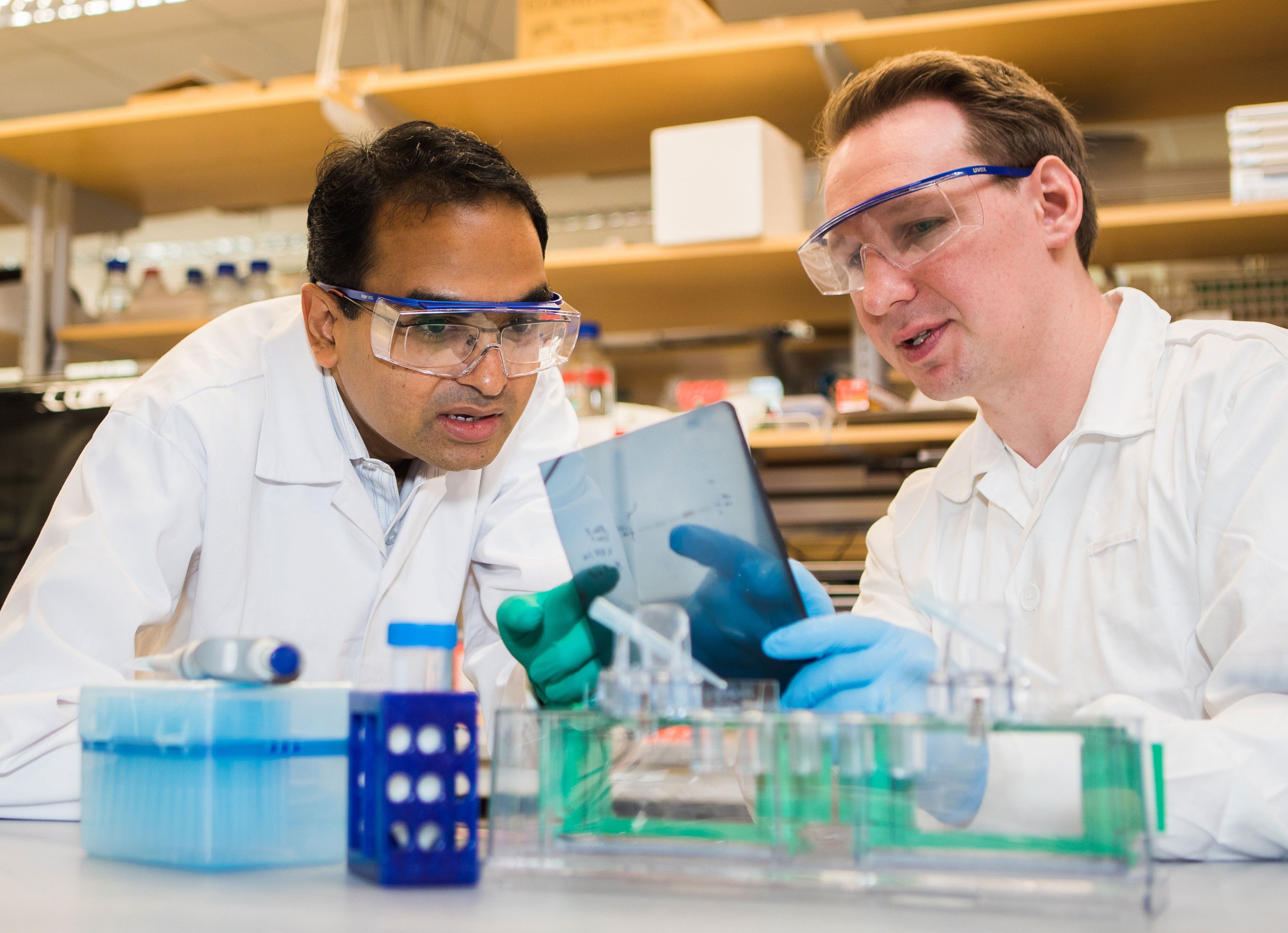 STCC Translational Research Integration & Support Platform